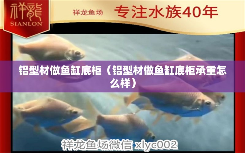 鋁型材做魚缸底柜（鋁型材做魚缸底柜承重怎么樣）