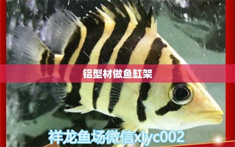 鋁型材做魚缸架