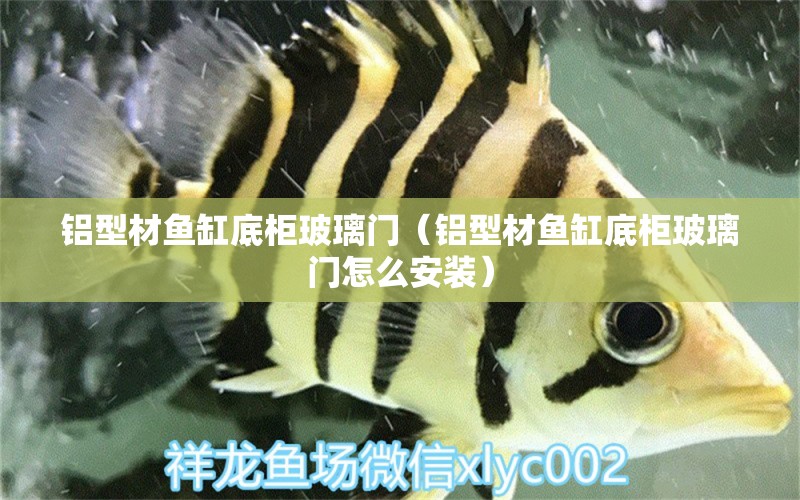 鋁型材魚缸底柜玻璃門（鋁型材魚缸底柜玻璃門怎么安裝）