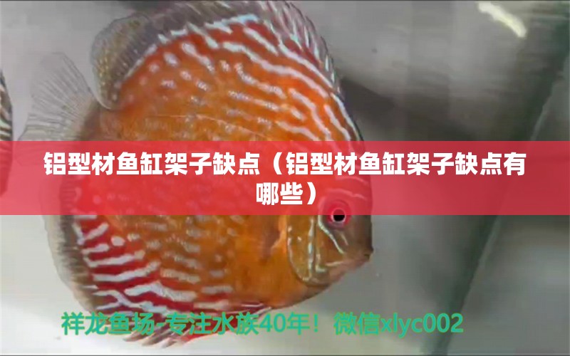 鋁型材魚缸架子缺點（鋁型材魚缸架子缺點有哪些）