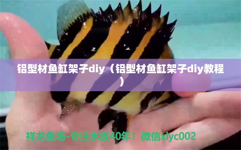 鋁型材魚缸架子diy（鋁型材魚缸架子diy教程）