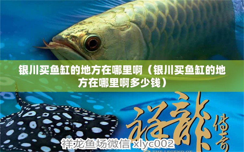 銀川買(mǎi)魚(yú)缸的地方在哪里?。ㄣy川買(mǎi)魚(yú)缸的地方在哪里啊多少錢(qián)）