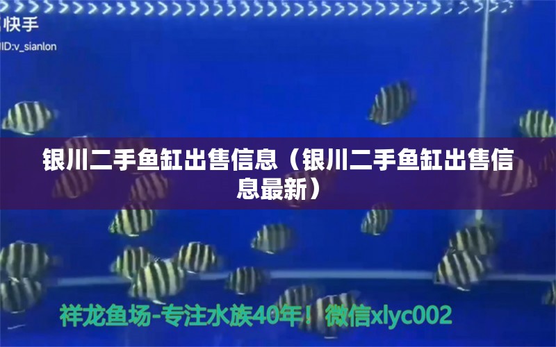 銀川二手魚缸出售信息（銀川二手魚缸出售信息最新）