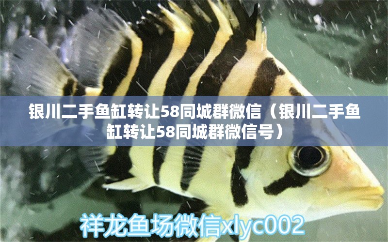 銀川二手魚缸轉(zhuǎn)讓58同城群微信（銀川二手魚缸轉(zhuǎn)讓58同城群微信號）