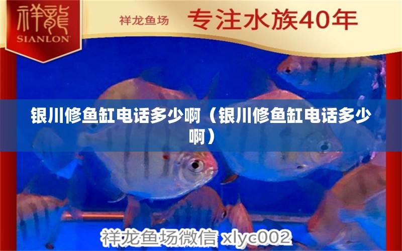 銀川修魚缸電話多少?。ㄣy川修魚缸電話多少?。?其他品牌魚缸