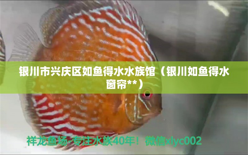 銀川市興慶區(qū)如魚得水水族館（銀川如魚得水窗簾**）