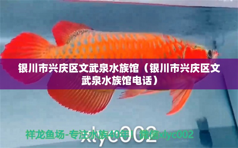 銀川市興慶區(qū)文武泉水族館（銀川市興慶區(qū)文武泉水族館電話） 全國(guó)水族館企業(yè)名錄