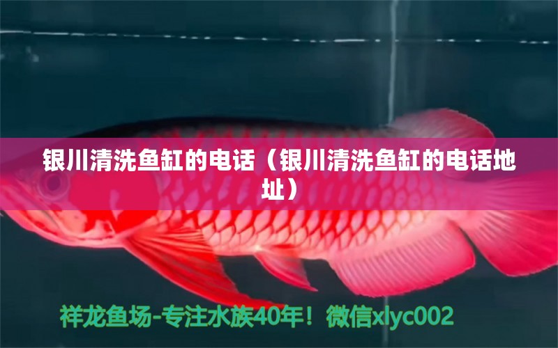 銀川清洗魚(yú)缸的電話(huà)（銀川清洗魚(yú)缸的電話(huà)地址）