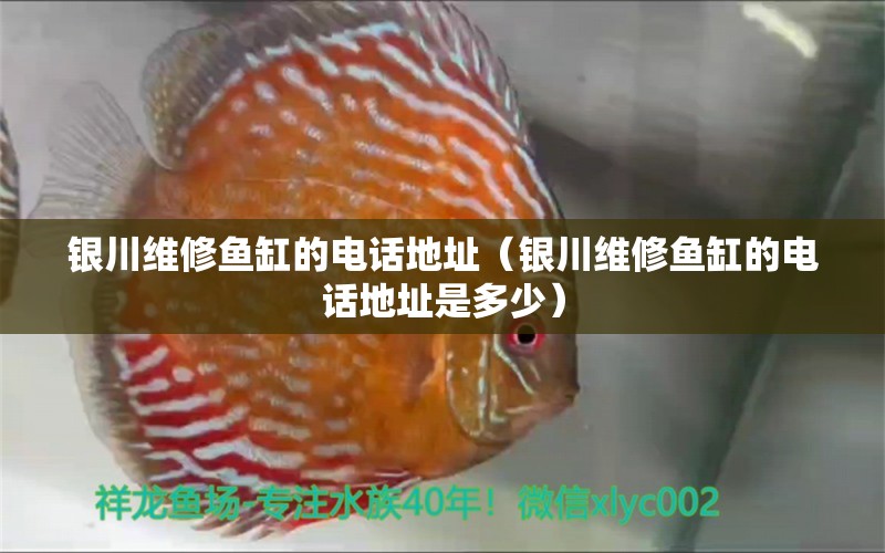 銀川維修魚缸的電話地址（銀川維修魚缸的電話地址是多少） 其他品牌魚缸