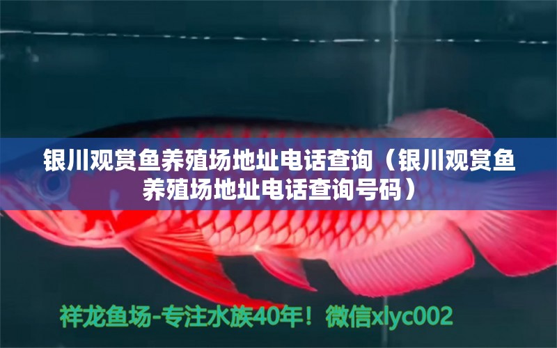 銀川觀賞魚養(yǎng)殖場地址電話查詢（銀川觀賞魚養(yǎng)殖場地址電話查詢號碼） 祥龍水族醫(yī)院