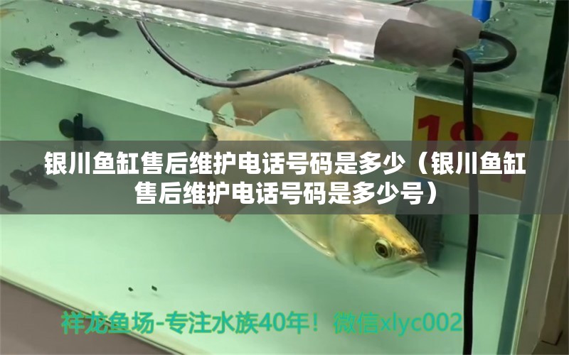 銀川魚缸售后維護(hù)電話號(hào)碼是多少（銀川魚缸售后維護(hù)電話號(hào)碼是多少號(hào)）