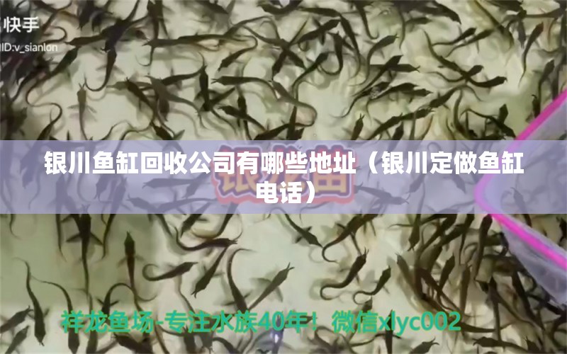 銀川魚(yú)缸回收公司有哪些地址（銀川定做魚(yú)缸電話）