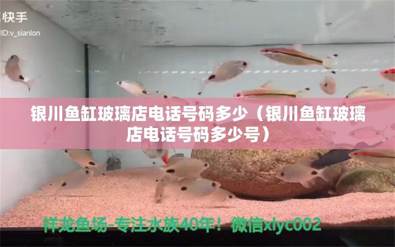 銀川魚缸玻璃店電話號(hào)碼多少（銀川魚缸玻璃店電話號(hào)碼多少號(hào)） 其他品牌魚缸