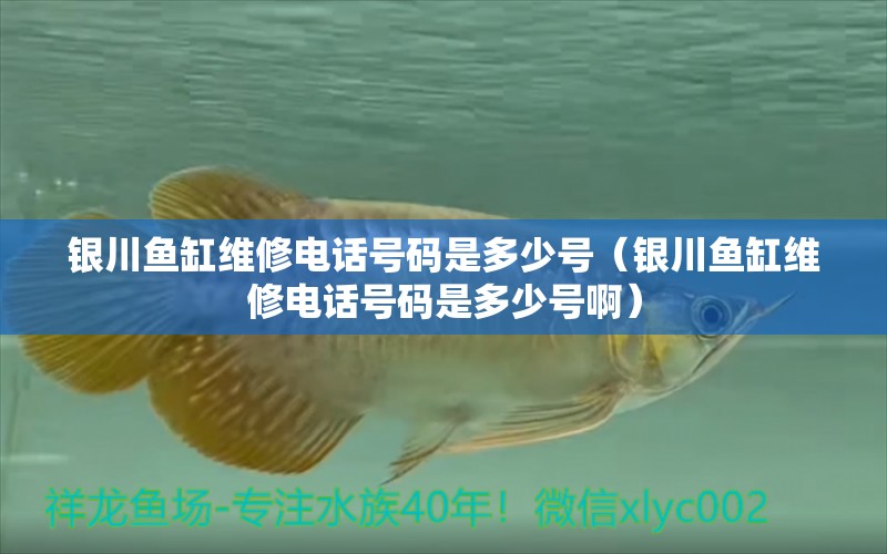 銀川魚缸維修電話號碼是多少號（銀川魚缸維修電話號碼是多少號?。? title=