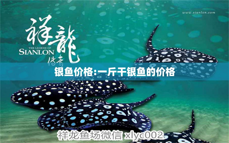 銀魚價格:一斤干銀魚的價格