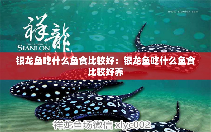 銀龍魚吃什么魚食比較好：銀龍魚吃什么魚食比較好養(yǎng) 銀龍魚