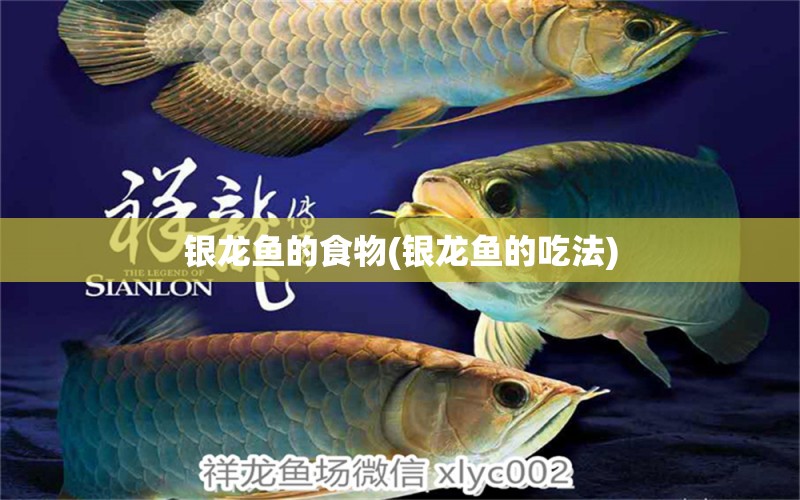 銀龍魚的食物(銀龍魚的吃法) 銀龍魚