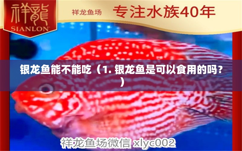 銀龍魚能不能吃（1. 銀龍魚是可以食用的嗎？） 水族問答 第1張