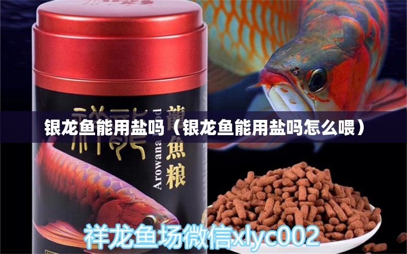 銀龍魚能用鹽嗎（銀龍魚能用鹽嗎怎么喂） 銀龍魚