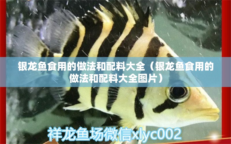 銀龍魚(yú)食用的做法和配料大全（銀龍魚(yú)食用的做法和配料大全圖片）