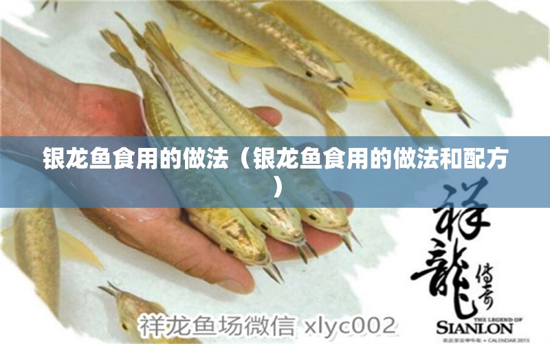 銀龍魚食用的做法（銀龍魚食用的做法和配方） 銀龍魚