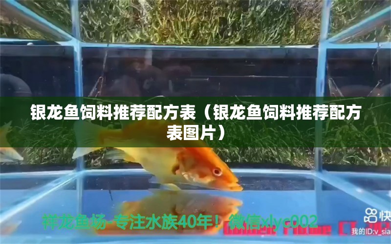 銀龍魚(yú)飼料推薦配方表（銀龍魚(yú)飼料推薦配方表圖片）