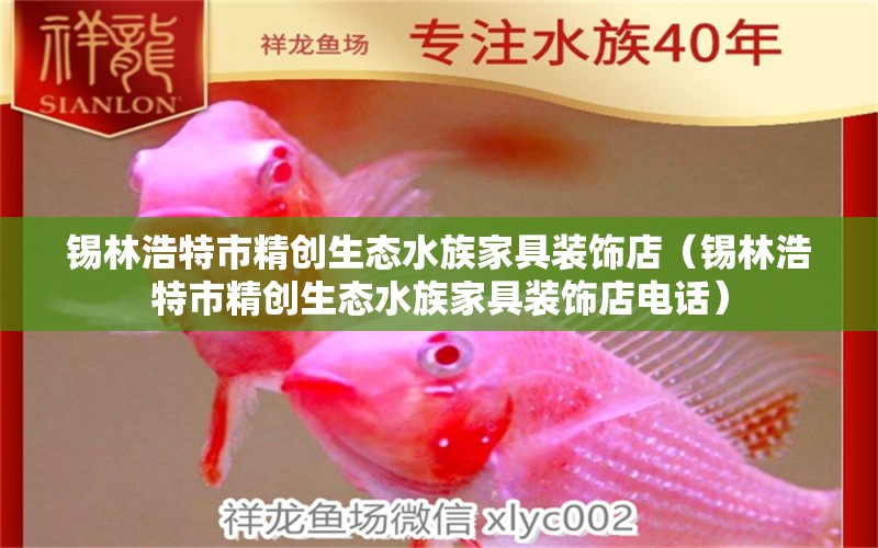 錫林浩特市精創(chuàng)生態(tài)水族家具裝飾店（錫林浩特市精創(chuàng)生態(tài)水族家具裝飾店電話）