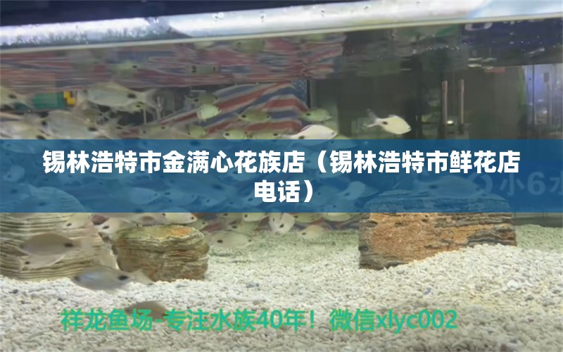 錫林浩特市金滿心花族店（錫林浩特市鮮花店電話）