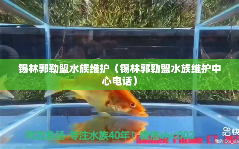 錫林郭勒盟水族維護(hù)（錫林郭勒盟水族維護(hù)中心電話）