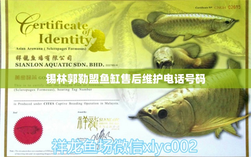 錫林郭勒盟魚缸售后維護(hù)電話號(hào)碼 其他品牌魚缸