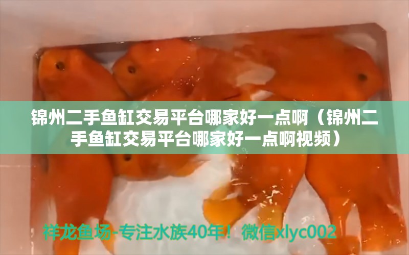 錦州二手魚缸交易平臺哪家好一點啊（錦州二手魚缸交易平臺哪家好一點啊視頻）