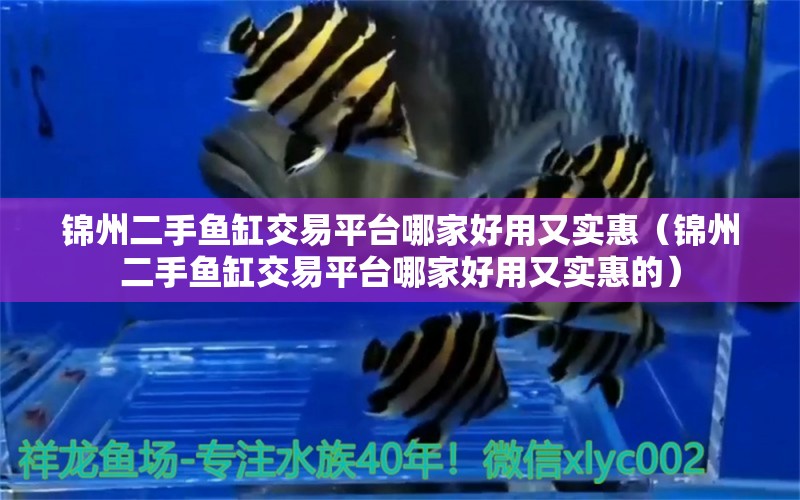 錦州二手魚缸交易平臺哪家好用又實惠（錦州二手魚缸交易平臺哪家好用又實惠的）