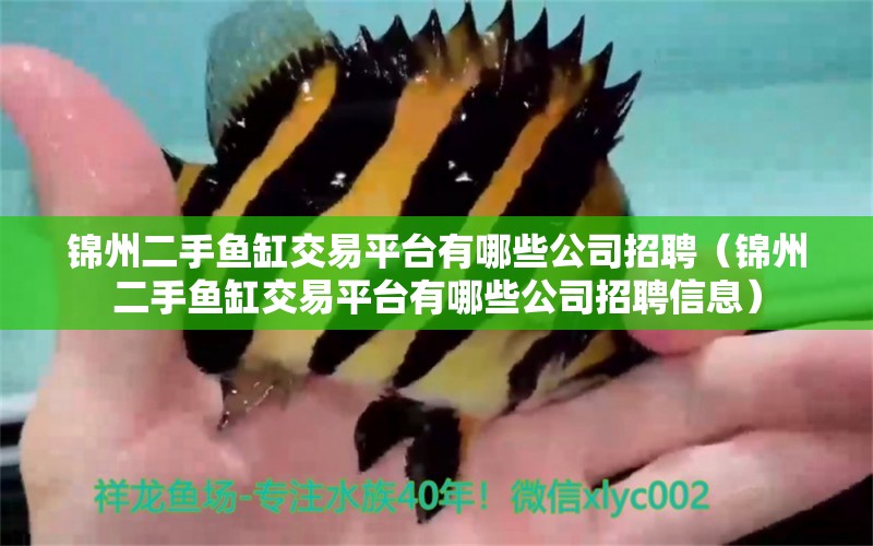 錦州二手魚缸交易平臺有哪些公司招聘（錦州二手魚缸交易平臺有哪些公司招聘信息）