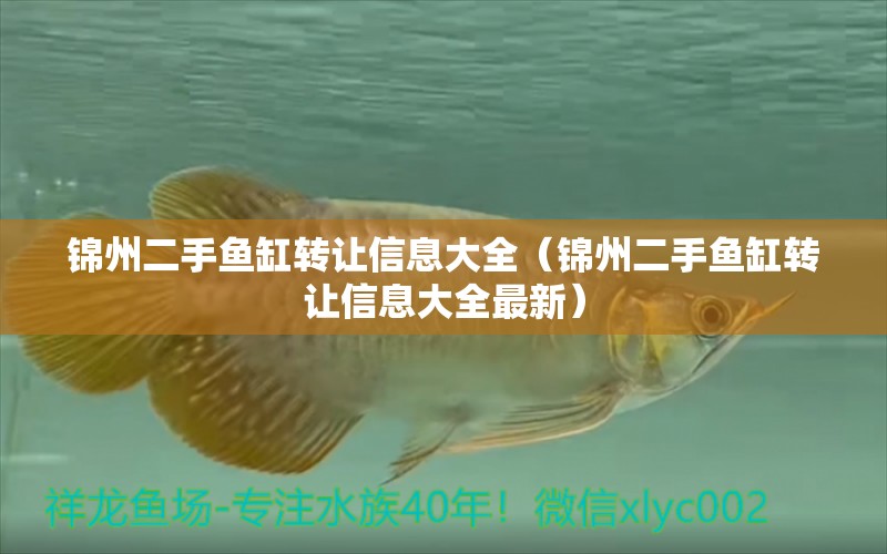 錦州二手魚缸轉讓信息大全（錦州二手魚缸轉讓信息大全最新）