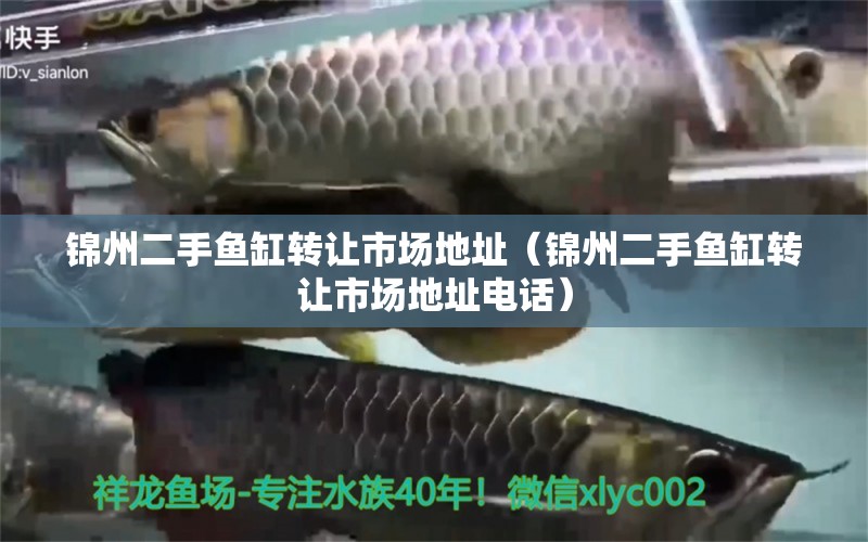 錦州二手魚缸轉讓市場地址（錦州二手魚缸轉讓市場地址電話）