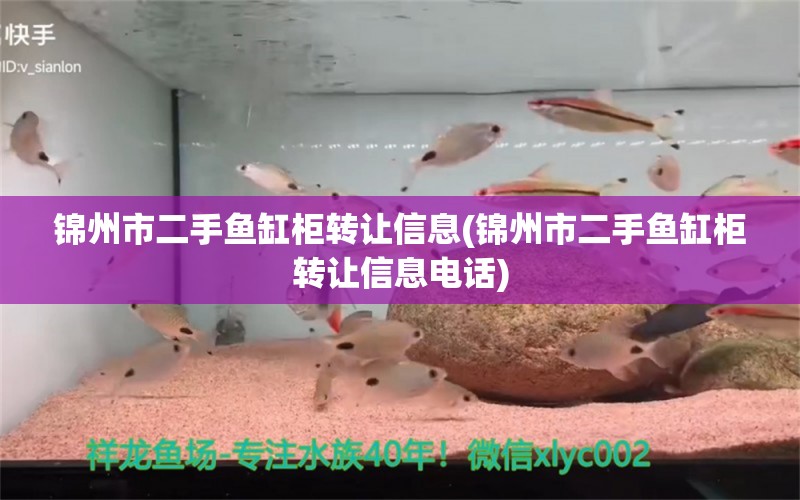 錦州市二手魚缸柜轉(zhuǎn)讓信息(錦州市二手魚缸柜轉(zhuǎn)讓信息電話) 錦鯉池魚池建設(shè)