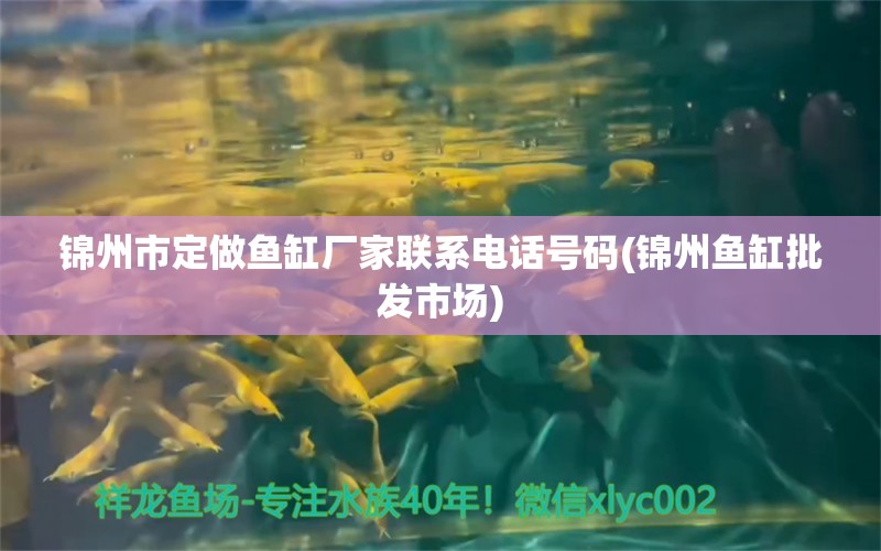 錦州市定做魚缸廠家聯(lián)系電話號碼(錦州魚缸批發(fā)市場)