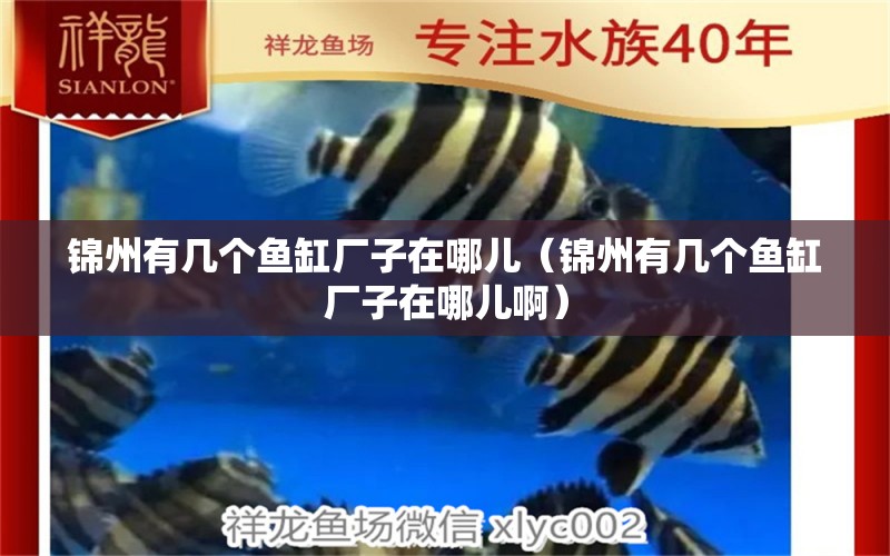 錦州有幾個魚缸廠子在哪兒（錦州有幾個魚缸廠子在哪兒?。? title=