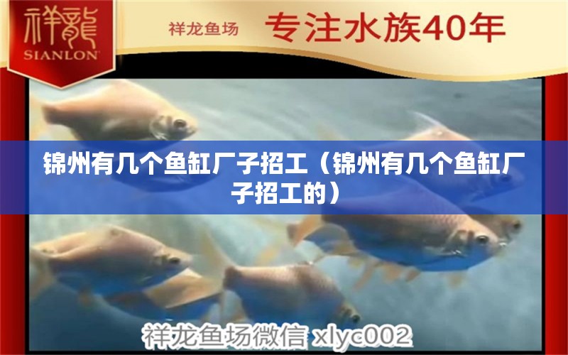 錦州有幾個魚缸廠子招工（錦州有幾個魚缸廠子招工的）