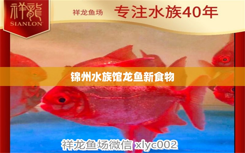 錦州水族館龍魚新食物 熱帶魚魚苗批發(fā)