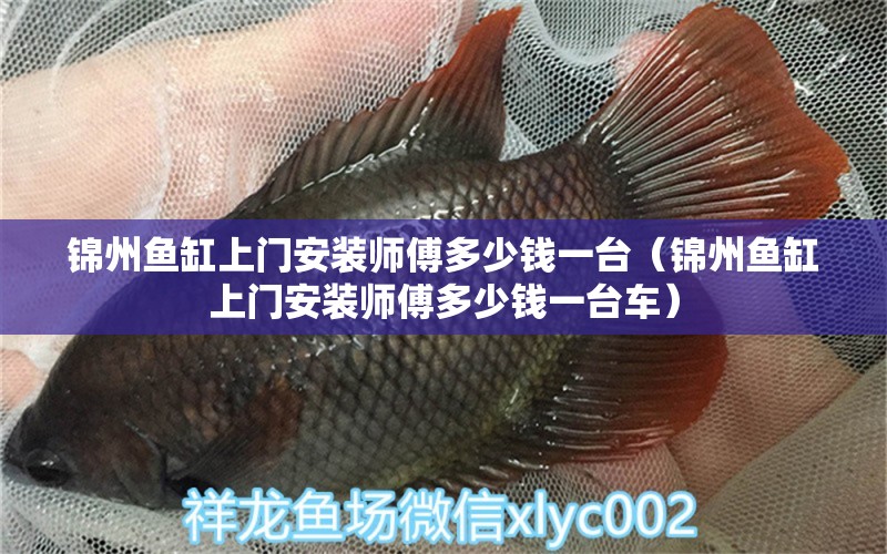 錦州魚缸上門安裝師傅多少錢一臺（錦州魚缸上門安裝師傅多少錢一臺車） 黑云魚