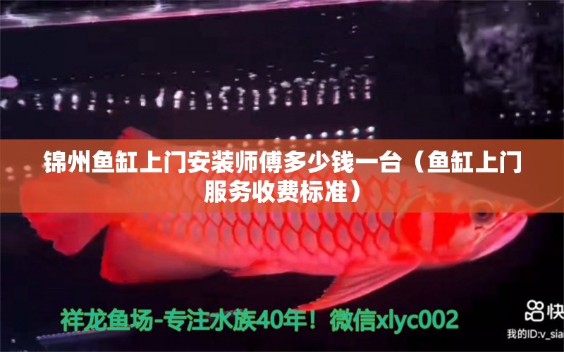 錦州魚缸上門安裝師傅多少錢一臺（魚缸上門服務(wù)收費標(biāo)準(zhǔn)）