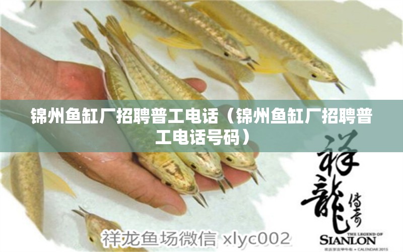 錦州魚(yú)缸廠招聘普工電話(huà)（錦州魚(yú)缸廠招聘普工電話(huà)號(hào)碼）