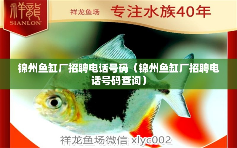 錦州魚(yú)缸廠(chǎng)招聘電話(huà)號(hào)碼（錦州魚(yú)缸廠(chǎng)招聘電話(huà)號(hào)碼查詢(xún)）