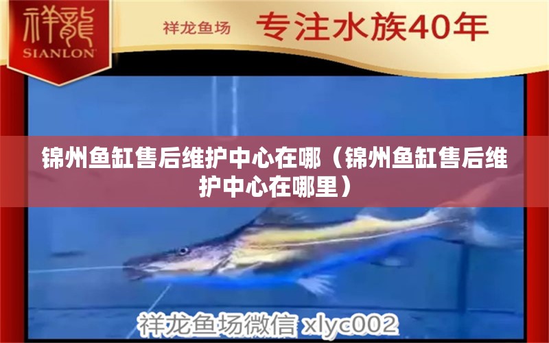 錦州魚缸售后維護(hù)中心在哪（錦州魚缸售后維護(hù)中心在哪里）