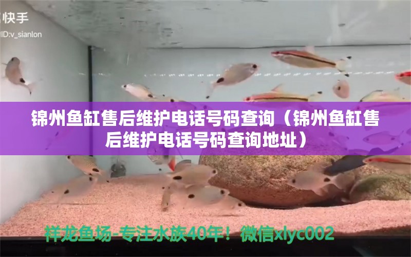 錦州魚缸售后維護(hù)電話號碼查詢（錦州魚缸售后維護(hù)電話號碼查詢地址）