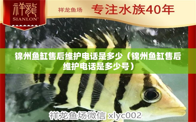 錦州魚缸售后維護(hù)電話是多少（錦州魚缸售后維護(hù)電話是多少號）