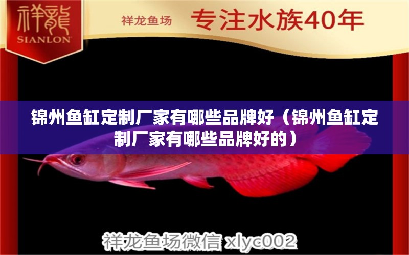 錦州魚缸定制廠家有哪些品牌好（錦州魚缸定制廠家有哪些品牌好的） 量子養(yǎng)魚技術