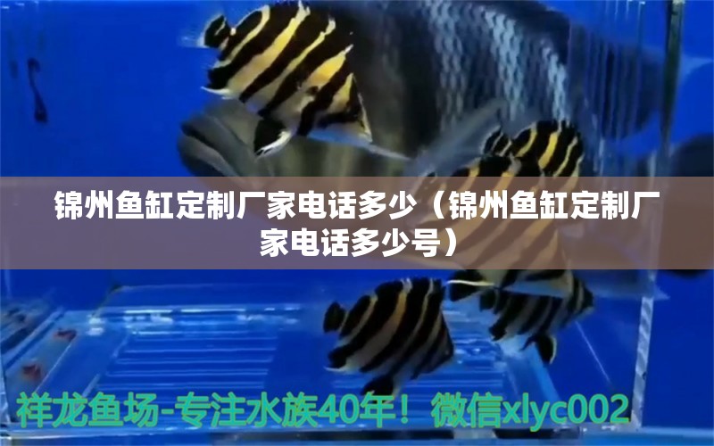 錦州魚缸定制廠家電話多少（錦州魚缸定制廠家電話多少號） 祥龍水族醫(yī)院