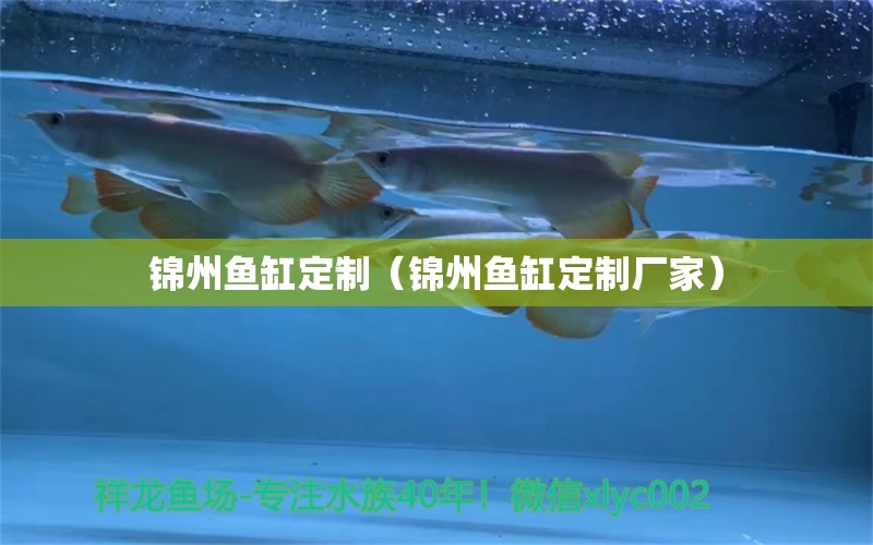 錦州魚缸定制（錦州魚缸定制廠家）